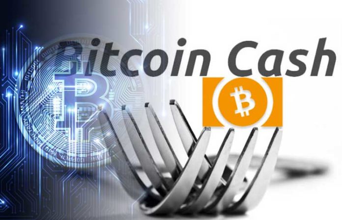 Latest Accurate Bitcoin Cash Review by besticoforyou