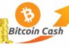 Rishikimi Bitcoin Cash - besticoforyou