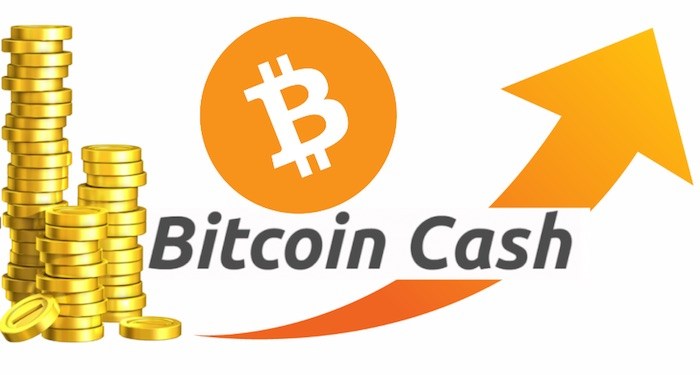 Bitcoin Cash Review Peer To Peer El!   ectronic Cash Beste Ico Fur Sie - 