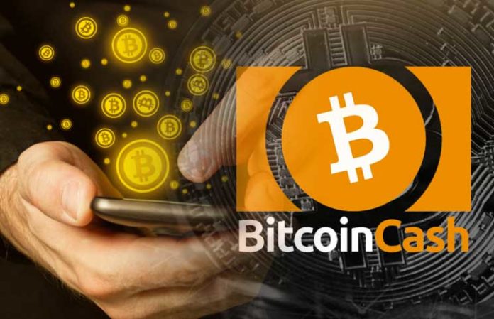 Bitcoin Cash review-besticoforyou dnes