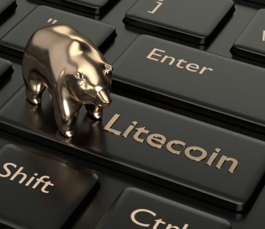 comprehensive Litecoin Review- besticoforyou