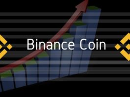 Binance coin review