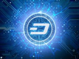 Dash Review