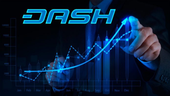 Nejnovější Dash Review